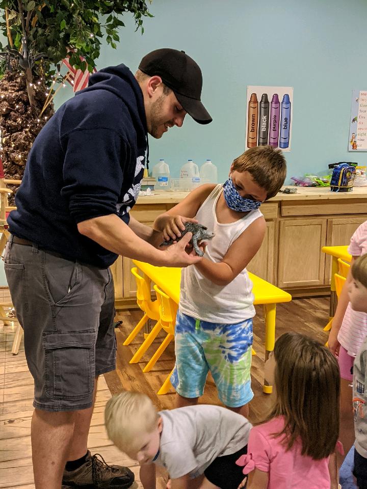 Book Readings/Interactive Live Turtle Experience