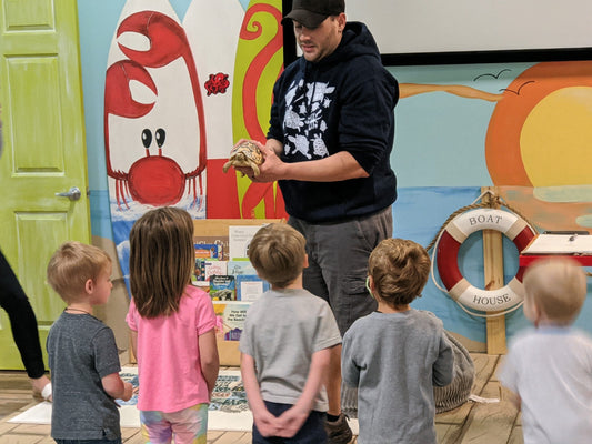 Book Readings/Interactive Live Turtle Experience